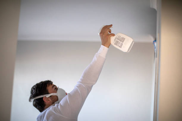 Best Kitchen Mold Remediation in Untain Grove, MO
