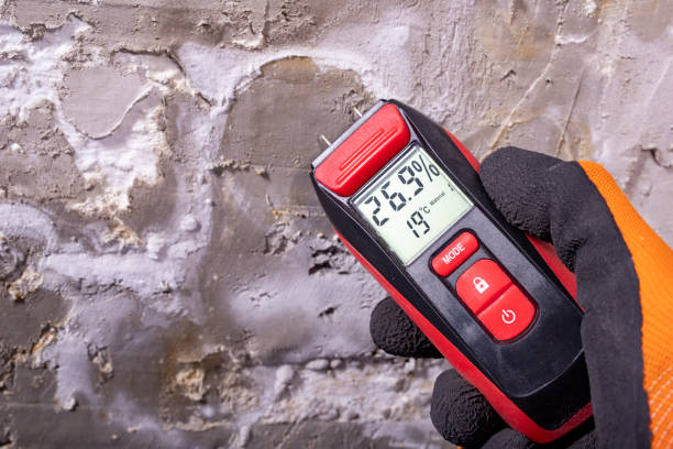 Best Mold Remediation for Specific Building Types in Untain Grove, MO